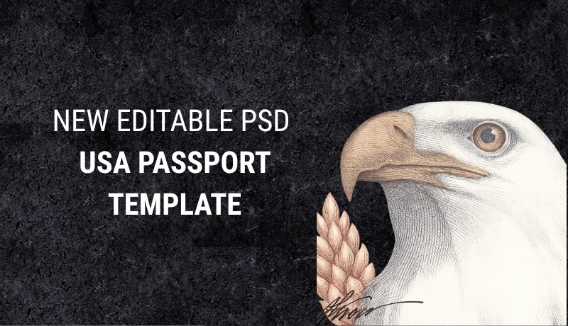Editable USA Passport Template – PSD File for Easy Customization