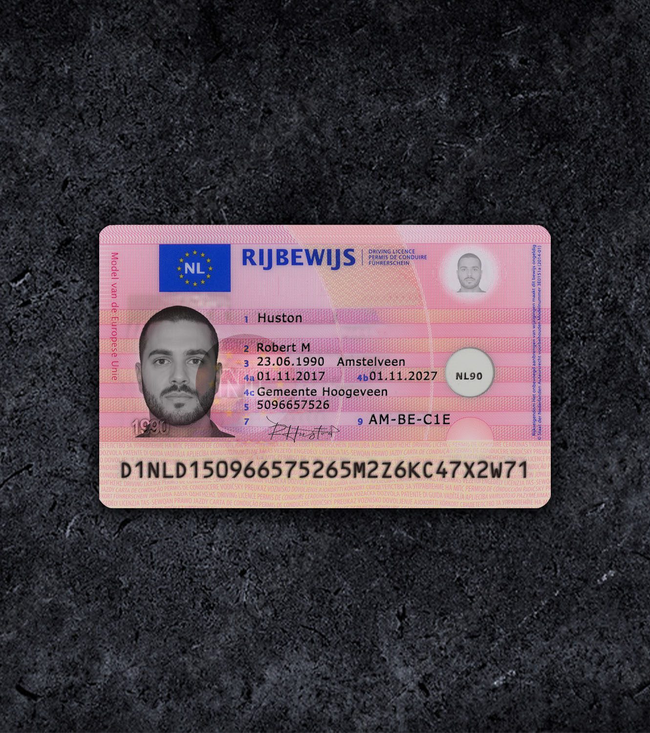 Netherland NL Driver License PSD Template - 2013